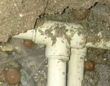 禹会测漏水多少钱