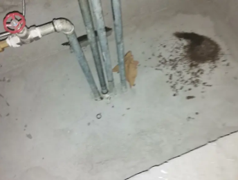 禹会卫生间测漏水价格明细